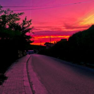 Fog Light Assembly (Pair) - Universal