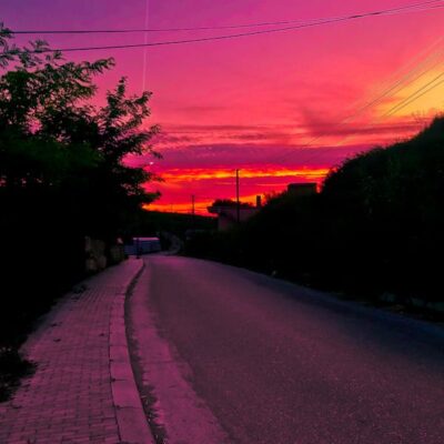 Fog Light Assembly (Pair) - Universal